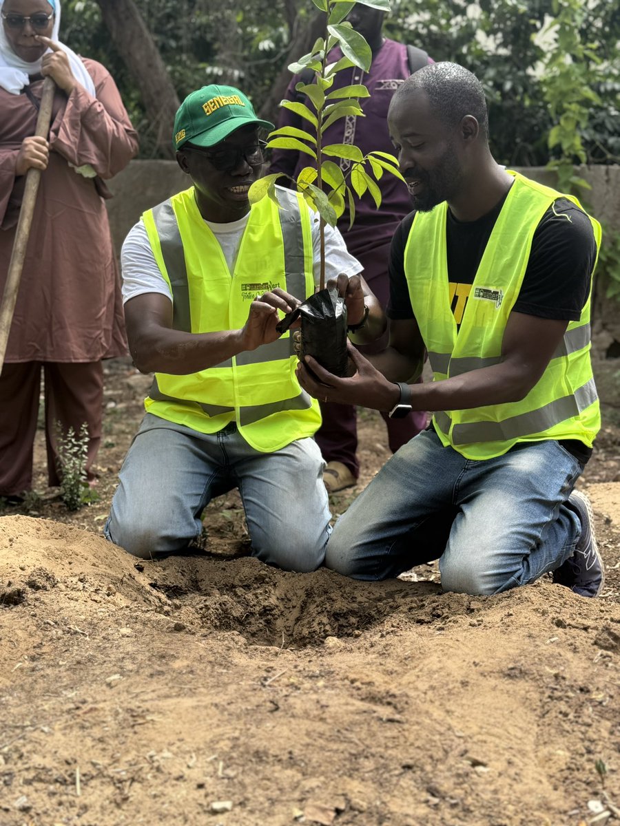 Mamadou Diakhaté (@niintche) on Twitter photo <a href="/TontonVert/">🇸🇳Abdou Touré🏆⭐️</a> 🤝 <a href="/Niintche/">Mamadou Diakhaté</a>
Journée de l’arbre 2025
📍Lycée Lamine Gueye Van Vo
Une citoyenneté active au service des communautés🇸🇳
#Deurkiss
#QuartierVertChallenge <a href="/TontonVert/">🇸🇳Abdou Touré🏆⭐️</a> 🤝 <a href="/Niintche/">Mamadou Diakhaté</a>
Journée de l’arbre 2025
📍Lycée Lamine Gueye Van Vo
Une citoyenneté active au service des communautés🇸🇳
#Deurkiss
#QuartierVertChallenge