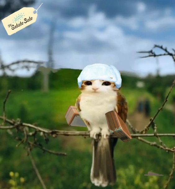 nftvision101's tweet photo. $meowl is flying guys

EARLY

3PNGsjuTjQmHPcyuuvPof7JA3E3PWeVnsfXqBod6LBjX https://t.co/pxyUMIDRMR