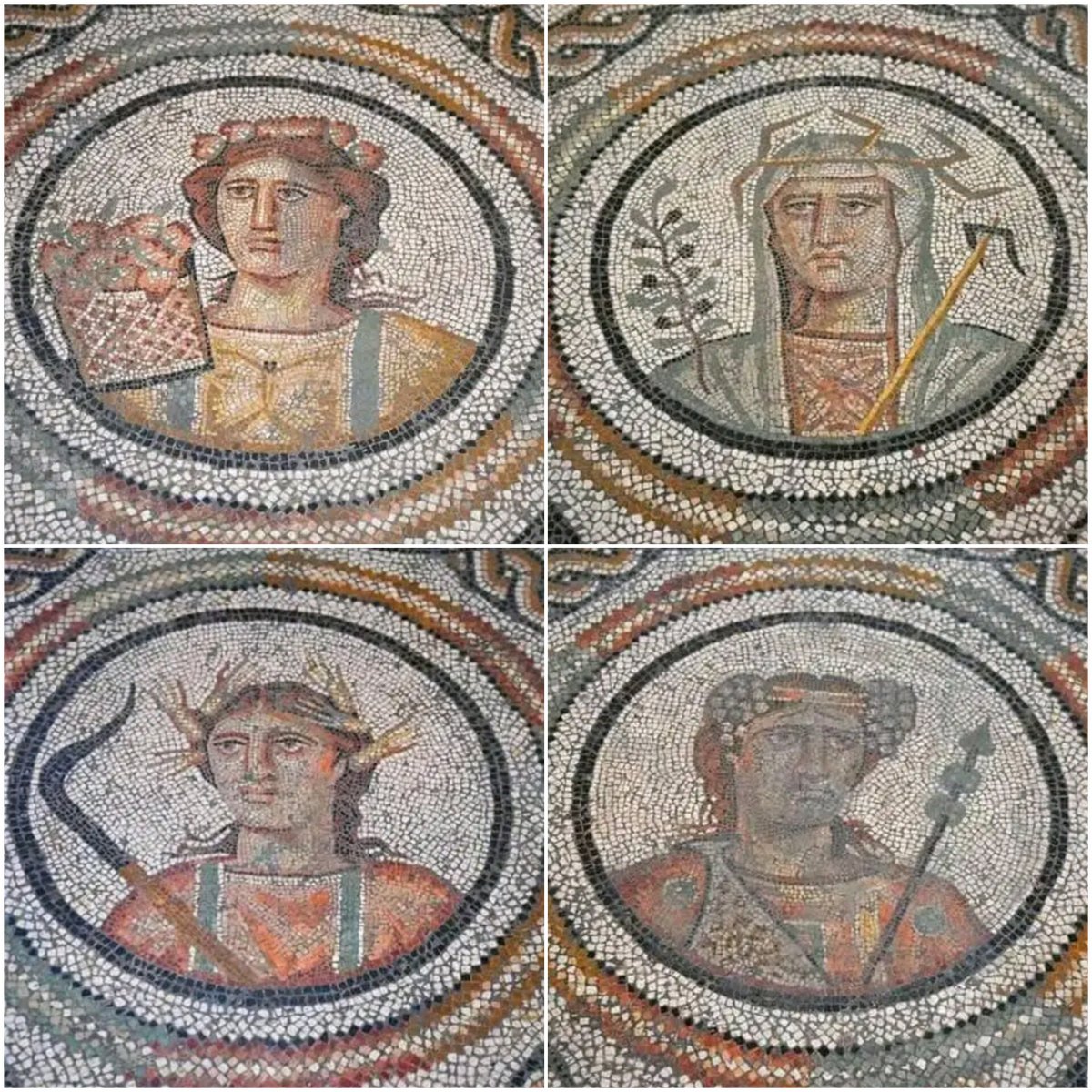 algeria_numidia's tweet photo. The Four Seasons Mosaic, found in Ain Babouche,Oum El Bouaghi Province, Algeria 🇩🇿

Preserved in the National Museum of Antiquities in Algiers. https://t.co/UbKo5KUm4X