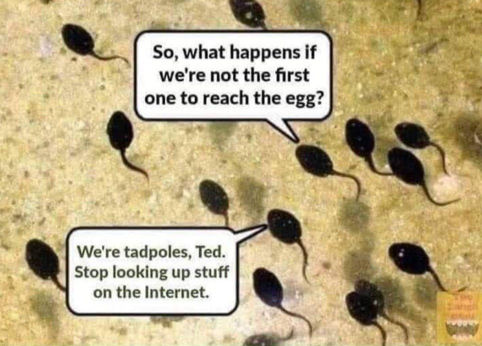 Survival mode of the fittest!