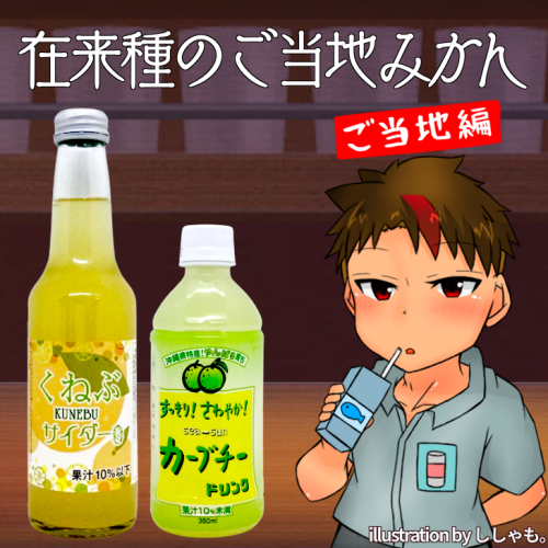 みな　ザンゴジュース MIZUNO ミズノ メンズ ランニングシューズ 2E相当 mizuno ミズノ