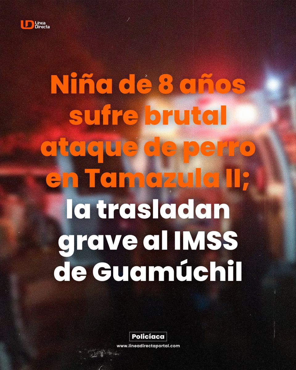 linea_directa's tweet photo. 🚨 👧 Niña de 8 años sufre brutal ataque de 🐕 perro en 📍 Tamazula II; la trasladan grave al IMSS de #Guamúchil
#Noticias #Sinaloa #AtaqueDePerro #IMSSGuamúchil #SalvadorAlvarado https://t.co/BW2T70rAtx