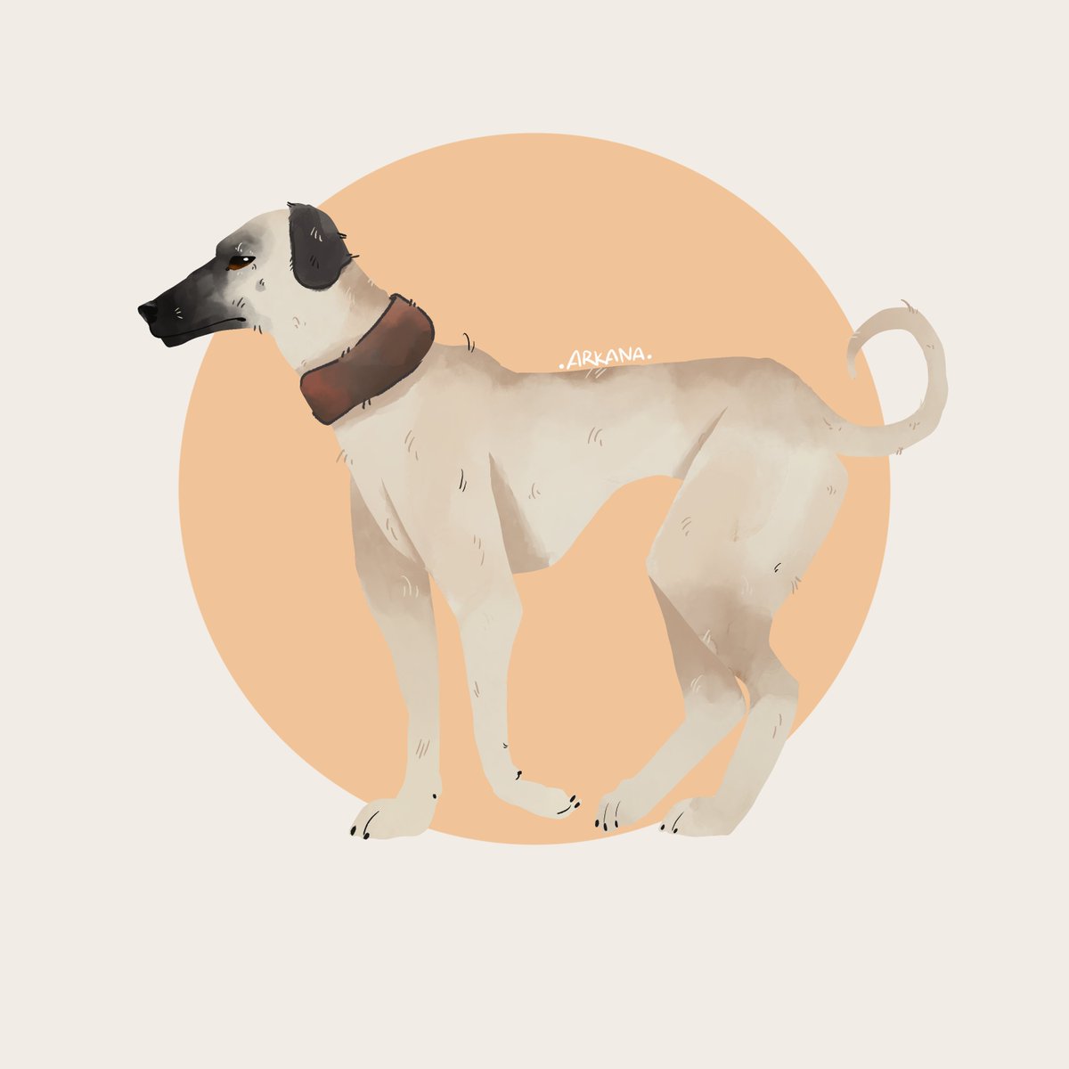 ArkanaCreations's tweet photo. Doggust - Day 3 : Sloughi π«
#DogsinAugust #doggust #doggust2025 #artchallenge https://t.co/hEZBWSwU8T