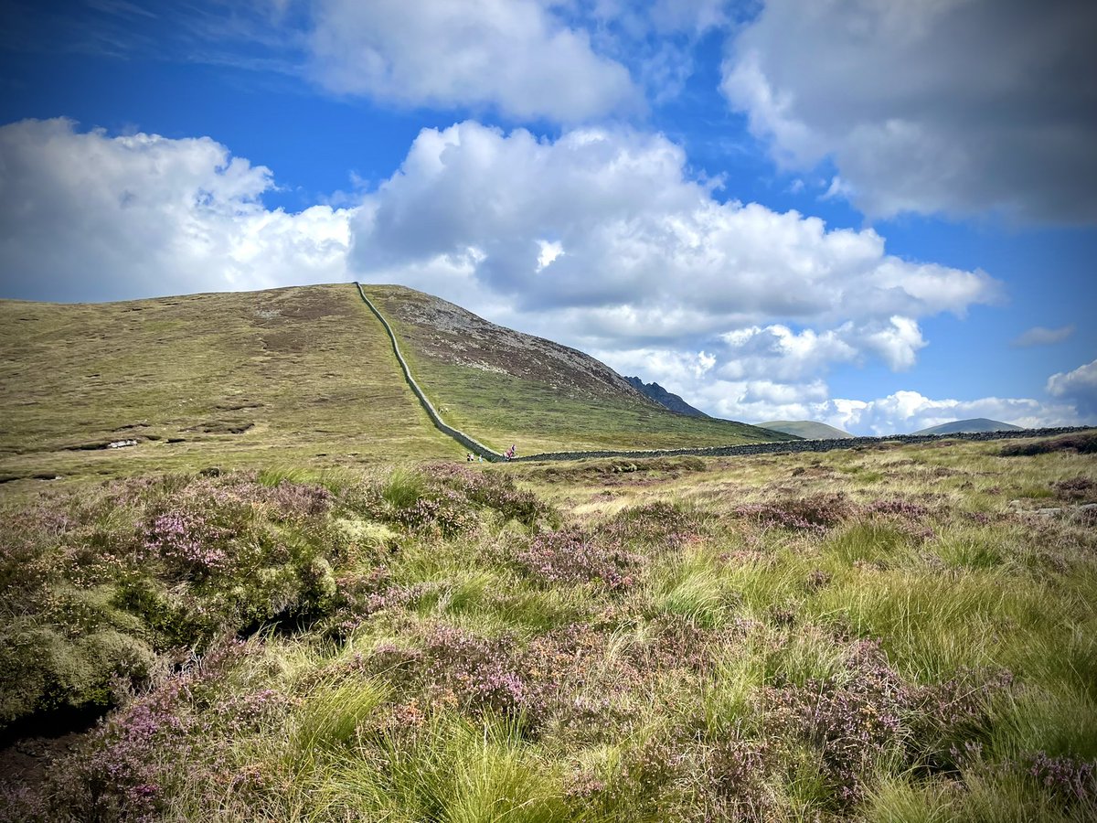 ACVDW's tweet image. “What wonder lies in each mountain day!” #johnmuir ⛰️🐶💙