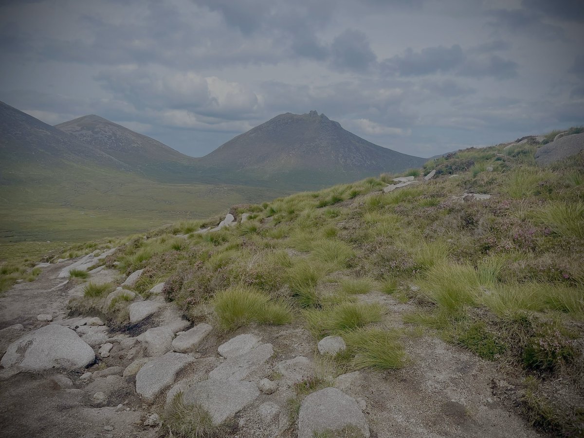 ACVDW's tweet image. “What wonder lies in each mountain day!” #johnmuir ⛰️🐶💙