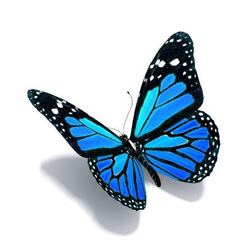 Ario Abrar (@arioabrar) on Twitter photo ❤️👑💚
درود دوستان
ارادت قلبی💙
میتونم ازتون خواهش کنم اینو ریت بزنید؟
ضمنا اگه ممکنه اکانت های زیر رو هم فالو کنید
<a href="/zizinanigolo32/">رزیـــــــــتا 32👑 اکانت سـی و دوم</a>
<a href="/zizinanigolo28/">رزیــــــــتا 28👑اکانت بیست و هشتم</a>
<a href="/zizininigolo16/">رزیـــــــــــتا 16👑 اکانت شانـزدهـم</a>
<a href="/zizinanigoolo77/">رزیـــــــــــتا 7👑 اکانت هفتم</a>
<a href="/ziziinanigooloo/">رزیـــــــــــتا 3 👑 اکانت سوم</a>
تا ادمین ها بتونن در لیست های بعدی قرارتون بدن
سپاس🙏🌹🙏 ❤️👑💚
درود دوستان
ارادت قلبی💙
میتونم ازتون خواهش کنم اینو ریت بزنید؟
ضمنا اگه ممکنه اکانت های زیر رو هم فالو کنید
<a href="/zizinanigolo32/">رزیـــــــــتا 32👑 اکانت سـی و دوم</a>
<a href="/zizinanigolo28/">رزیــــــــتا 28👑اکانت بیست و هشتم</a>
<a href="/zizininigolo16/">رزیـــــــــــتا 16👑 اکانت شانـزدهـم</a>
<a href="/zizinanigoolo77/">رزیـــــــــــتا 7👑 اکانت هفتم</a>
<a href="/ziziinanigooloo/">رزیـــــــــــتا 3 👑 اکانت سوم</a>
تا ادمین ها بتونن در لیست های بعدی قرارتون بدن
سپاس🙏🌹🙏