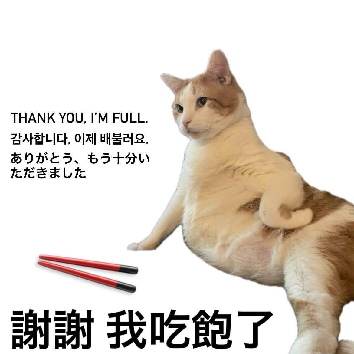 이 짤 너무 중독성 있음 ㅠㅠ 개웃겨