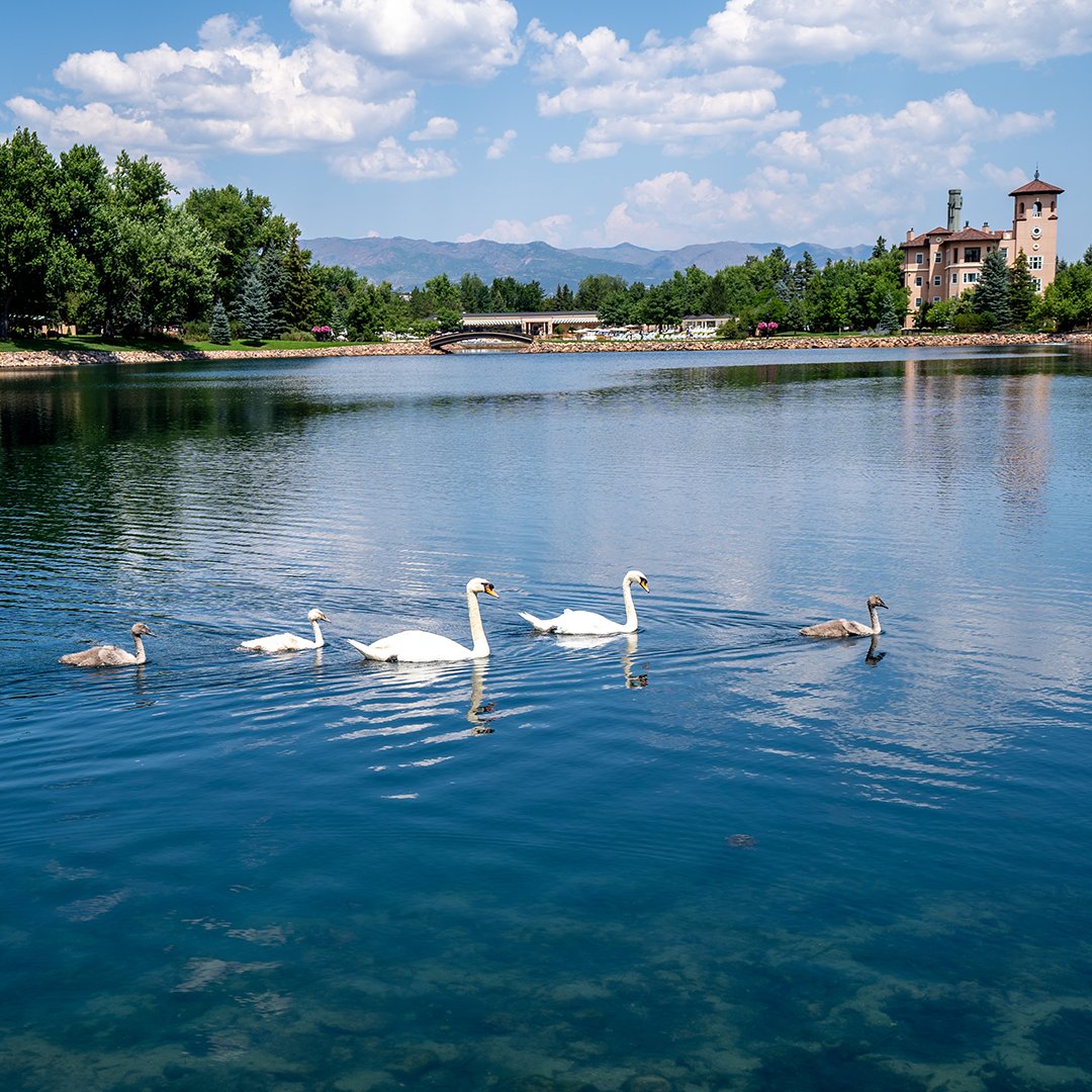 The beautiful flowers and lake are enjoyed by all at #TheBroadmoor. 😉