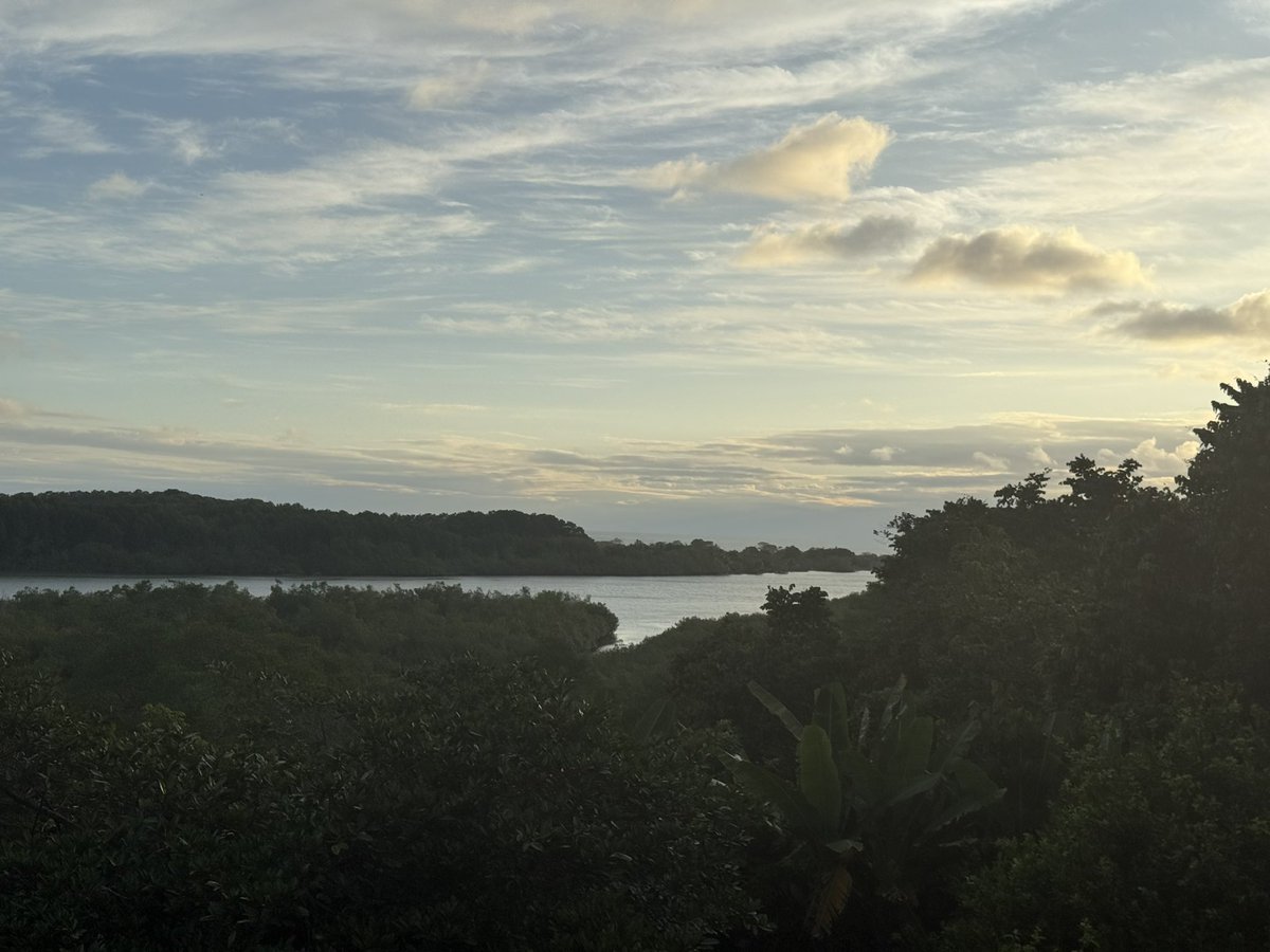 Dinner last night at a restaurant with great views of the Terraba River meeting the Pacific Ocean between Ojochal and San Buenas, Costa Rica.