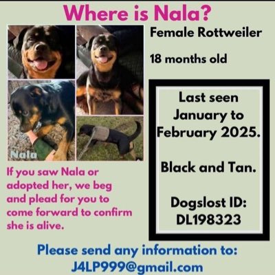 Rosie Doc (@rosiedoc666) on Twitter photo #NewProfilePic
#StolenDogHour
Have you seen Nala?did you adopt her ? She may have a different name now? If you have any info pls let us know all we want to know is she is safe/well, if you wish to remain anonymous pls email stolen@doglost.co.uk
doglost.co.uk/dog/198323 #NewProfilePic
#StolenDogHour
Have you seen Nala?did you adopt her ? She may have a different name now? If you have any info pls let us know all we want to know is she is safe/well, if you wish to remain anonymous pls email stolen@doglost.co.uk
doglost.co.uk/dog/198323