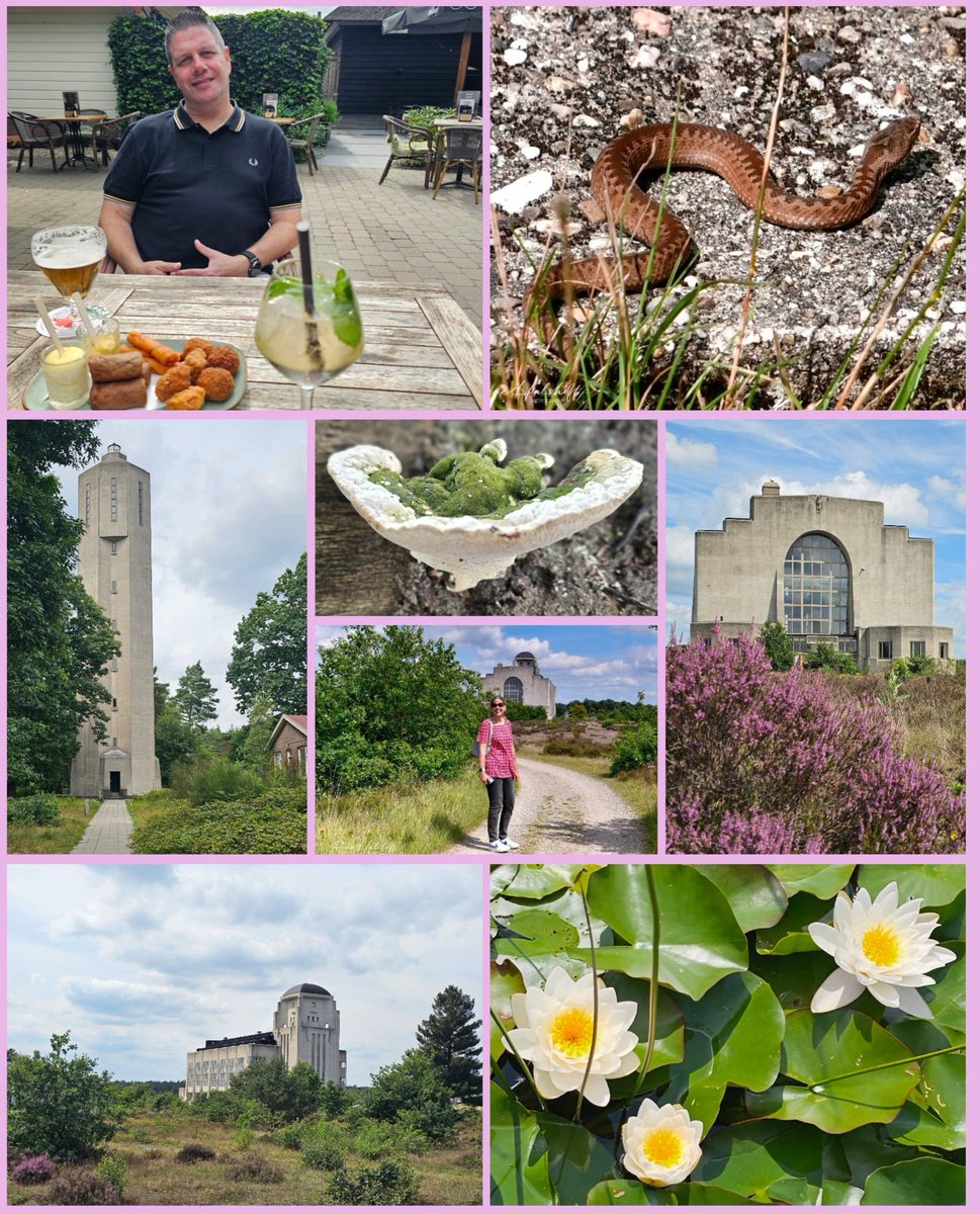 #Wandeltweet van vandaag. Met <a href="/Rene_Hulshoff/">ℝ𝕖𝕟𝕖 ℍ𝕦𝕝𝕤𝕙𝕠𝕗𝕗</a> over de paarse heide geslenterd bij Radio Kootwijk 💜