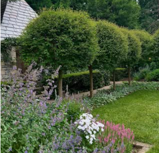 Gardendelight's tweet photo. Late May in one of our gardens, Hilversum, The Netherlands. 🥳🌿🇳🇱 https://t.co/HUVhDam185