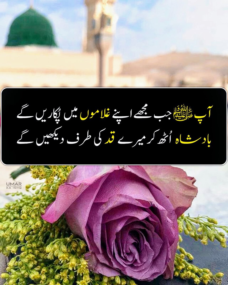 💡محمد جمال الدین ازہری 🌶️ (@mohamma87774293) on Twitter photo ہم نظر پھیر کے رنگینیِٔ دو عالم سے
مسجدِ نبوی ﷺ کے گُنبد کی طرف دیکھیں گے
(صلی اللہ علیہ وآلہ وسلم)🌹❤️🩹
مُحَمّدﷺ️ مُحَمّدﷺ️ مُحَمّدﷺ️ مُحَمّدﷺ️
<a href="/ReshmaA78/">💡Reshma Ansari 🌶️</a> <a href="/SarfrazRaza313/">SA_Razvi</a> <a href="/Aarfa_786/">Nalain E Fatimah🕊️</a> <a href="/NoorulNoor12050/">Noorul Huda Noor Mesbahi</a>
<a href="/Aqeel0922/">🥀Aqeel Ahmad Khan🌷</a> ہم نظر پھیر کے رنگینیِٔ دو عالم سے
مسجدِ نبوی ﷺ کے گُنبد کی طرف دیکھیں گے
(صلی اللہ علیہ وآلہ وسلم)🌹❤️🩹
مُحَمّدﷺ️ مُحَمّدﷺ️ مُحَمّدﷺ️ مُحَمّدﷺ️
<a href="/ReshmaA78/">💡Reshma Ansari 🌶️</a> <a href="/SarfrazRaza313/">SA_Razvi</a> <a href="/Aarfa_786/">Nalain E Fatimah🕊️</a> <a href="/NoorulNoor12050/">Noorul Huda Noor Mesbahi</a>
<a href="/Aqeel0922/">🥀Aqeel Ahmad Khan🌷</a>