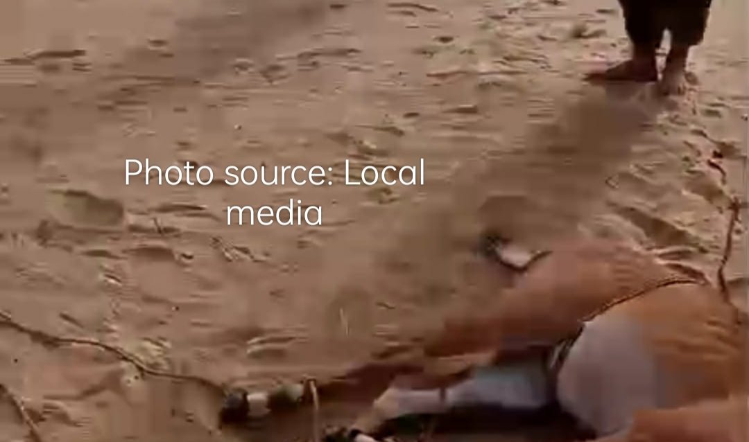 ضلع گھوٹکی کی صحرا میں رینی کینال کے اطراف مادہ نیل گائے کے غیر قانونی شکار کے حوالے سے ڈپٹی کنزرویٹر سکھر وائیلڈ لائیف ڈویژن عدنان حامد اپنی ٹیم کے ھمراہ متحرک ہیں اور ملوث ملزمان کی شناخت اور شواھد جمع کیے جارہے ہیں۔ قوانین کے مطابق کرمنل کیس رجسٹر کرنے کے
#SindhWildlife🇵🇰
+