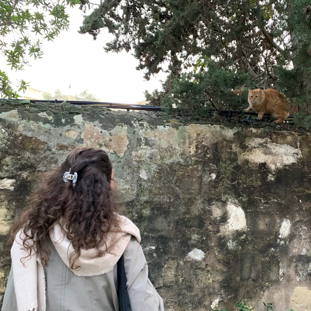 They gazed at each other affectionately, as if they were old friends meeting after a long time.