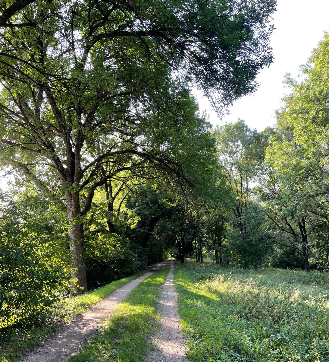 Traumhafte Hunderunde bei angenehmen 20°C

Einen schönen Abend euch allen!

#LiebeIstAlles #SchönesGegenDoofes #FloodTheZoneMitSchoenem