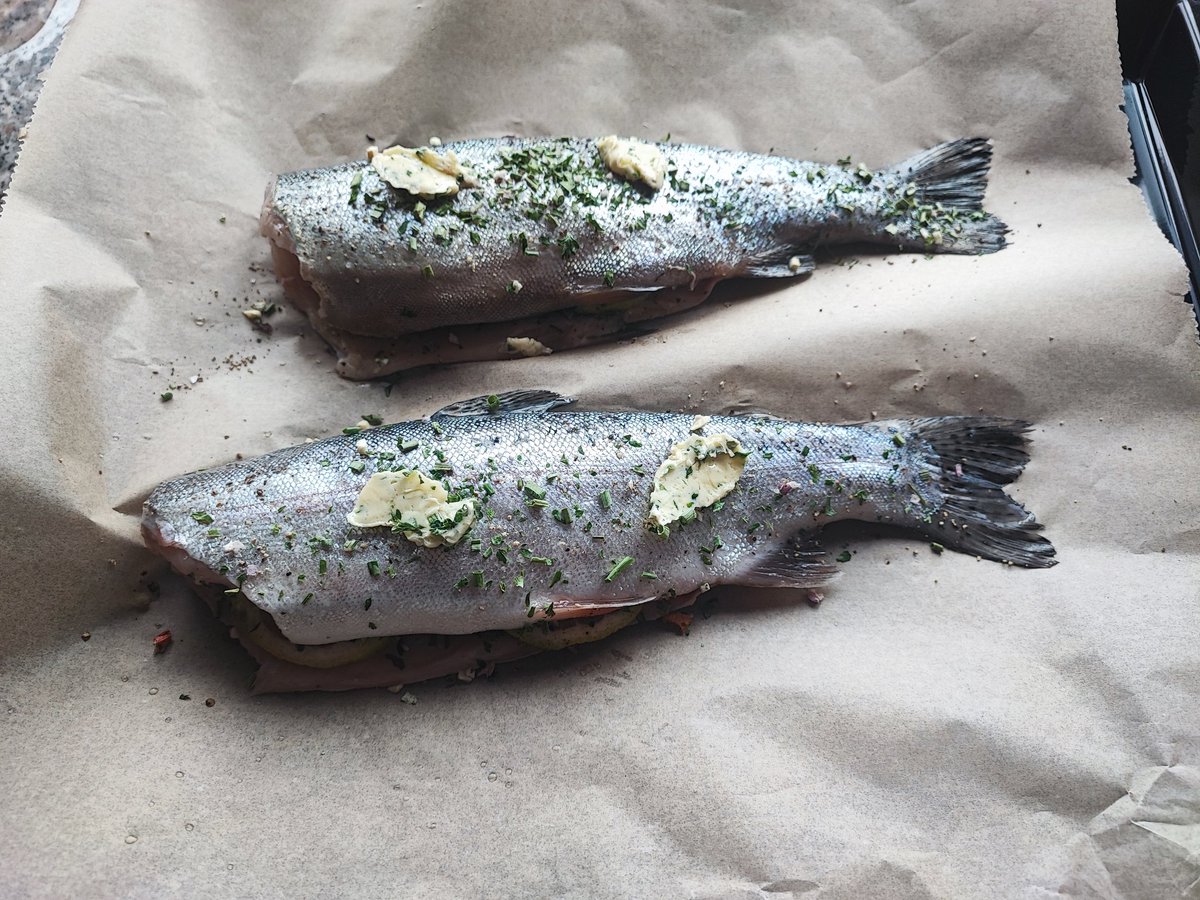 flummi1970's tweet photo. #Flummikuzius der #Gourmet
#Forelle #Püree und #Gurkensalat 😋😋😋 https://t.co/4ddGgOxFn4