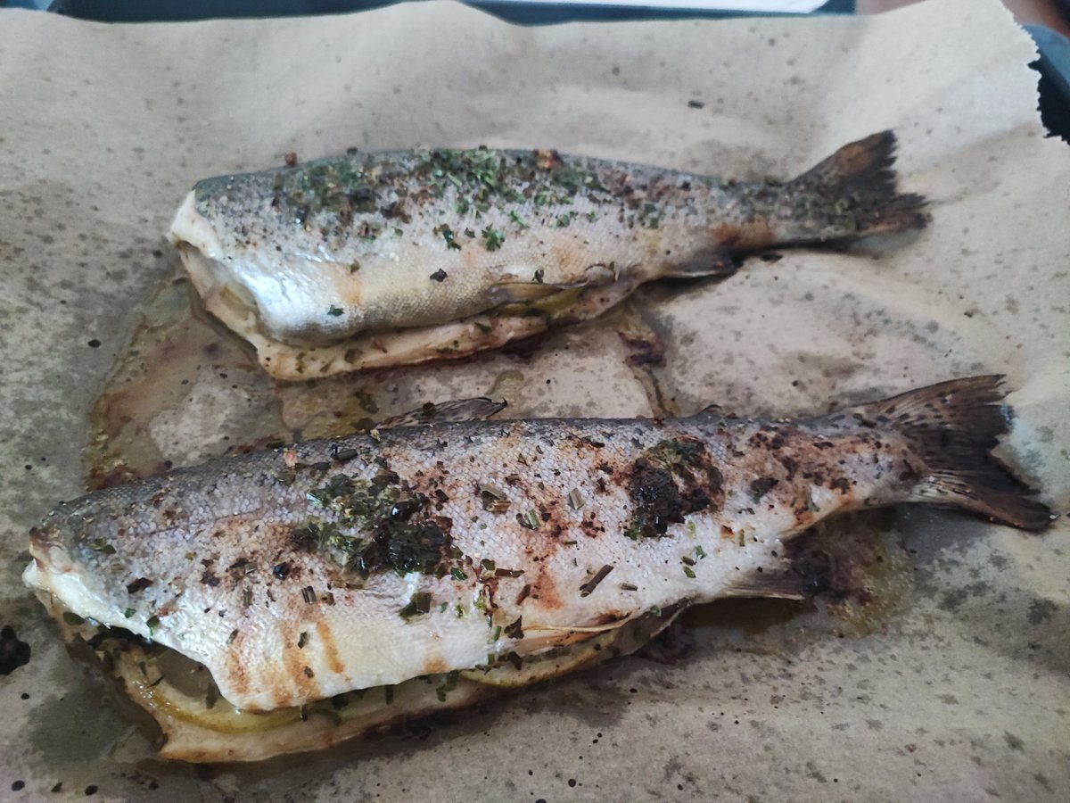 flummi1970's tweet photo. #Flummikuzius der #Gourmet
#Forelle #Püree und #Gurkensalat 😋😋😋 https://t.co/4ddGgOxFn4