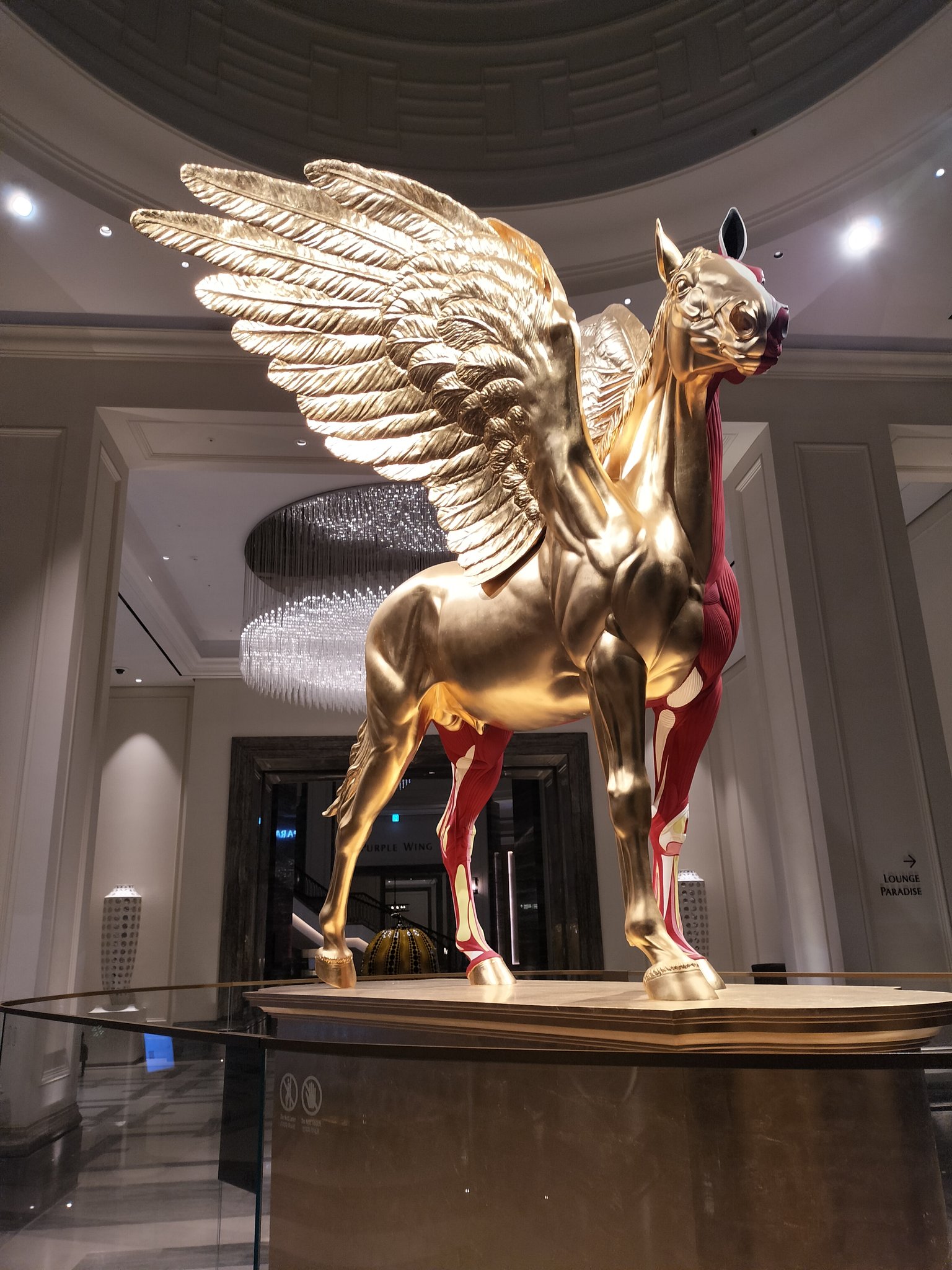 初版　サラブレッドと暮らしています。　田村正一　ヤングアニマルDensi 515-sLYi+gL._AC_SY200_QL15_.jpg