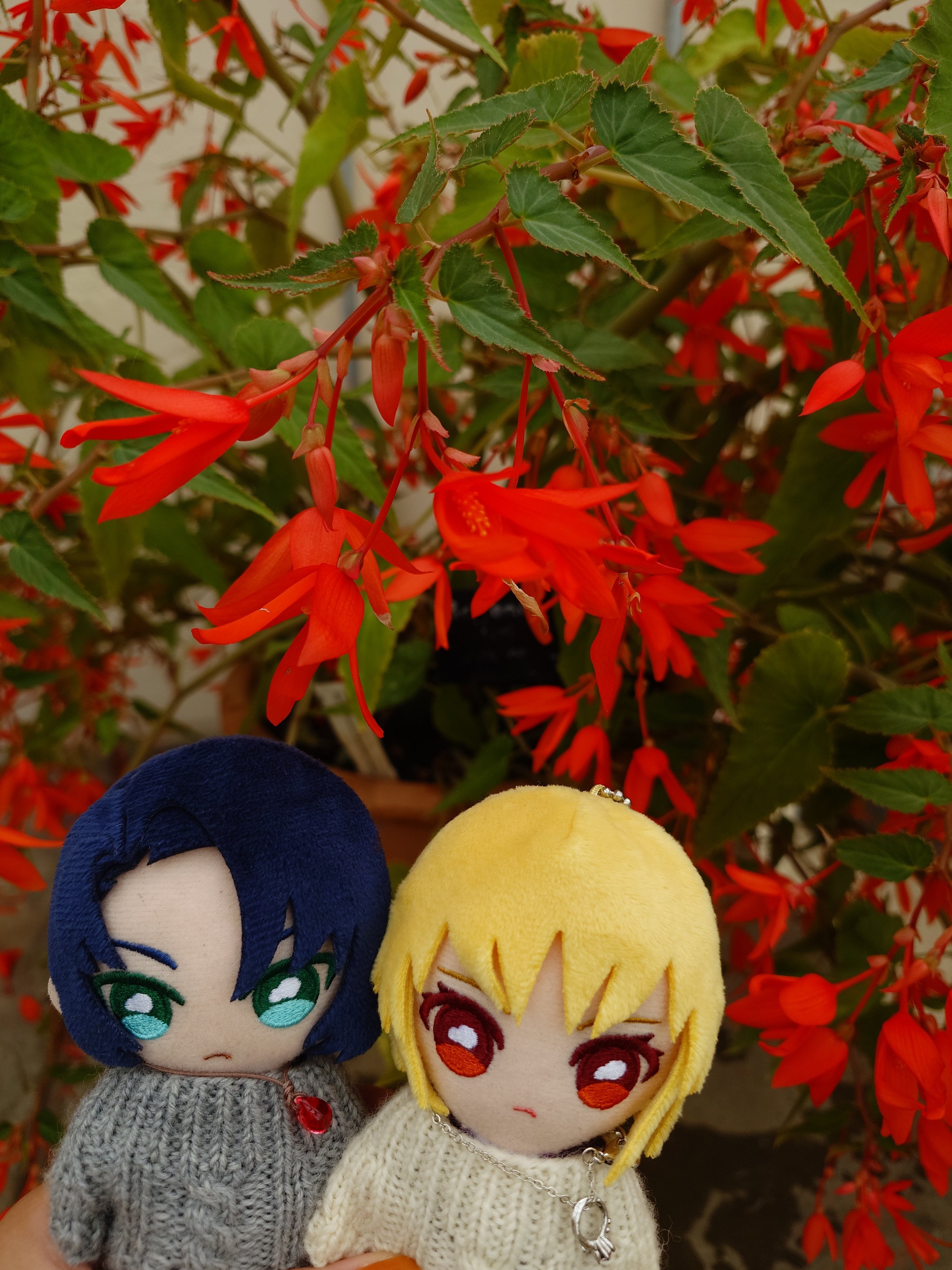 ☆*:.。. ハチページ.。.:*☆ はち (@excellent_daa) / X