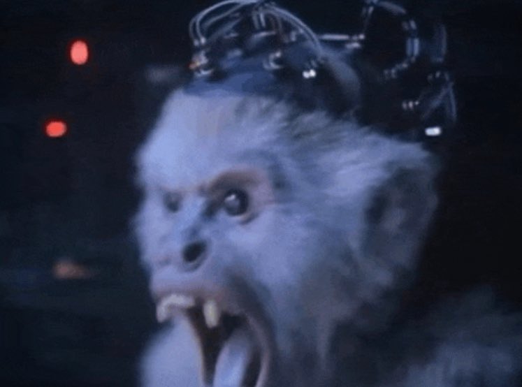 Shadin Osman tweet media