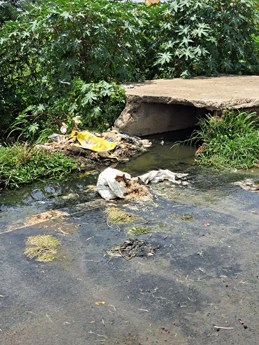 royalrams8031's tweet photo. Urgent sanitation issue near JAYA Hospital, Mathur, ORAGADAM-602105 https://t.co/guTchtrYjY 
Dirty water overflowing, foul smell, mosquito risk. No action yet. Please help  #Chennai #PublicHealth #Oragadam
@CMOTamilnadu
@mkstalin
@Chief_Secy_TN
@Tnpcbofficial
@ChennaiCorp https://t.co/iqch33XTAa