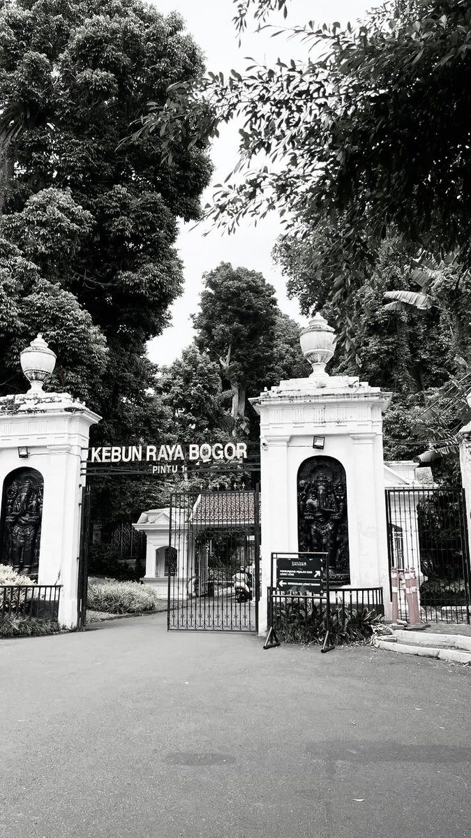 Ray fhrezy. tweet media