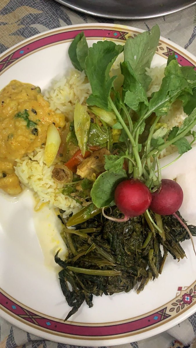 Missing the शलगम season 🤟🤟🤟🫶