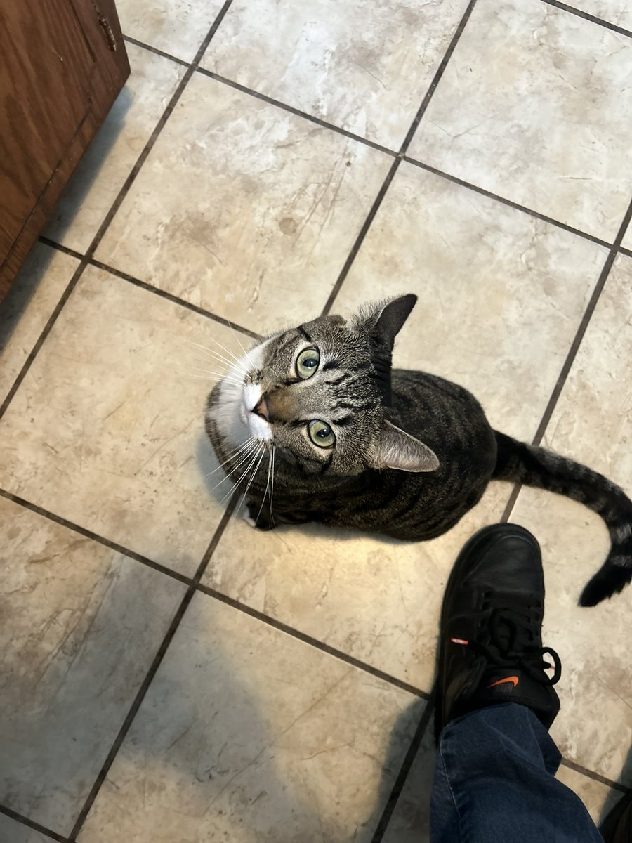 Everything I do is for my gang gang