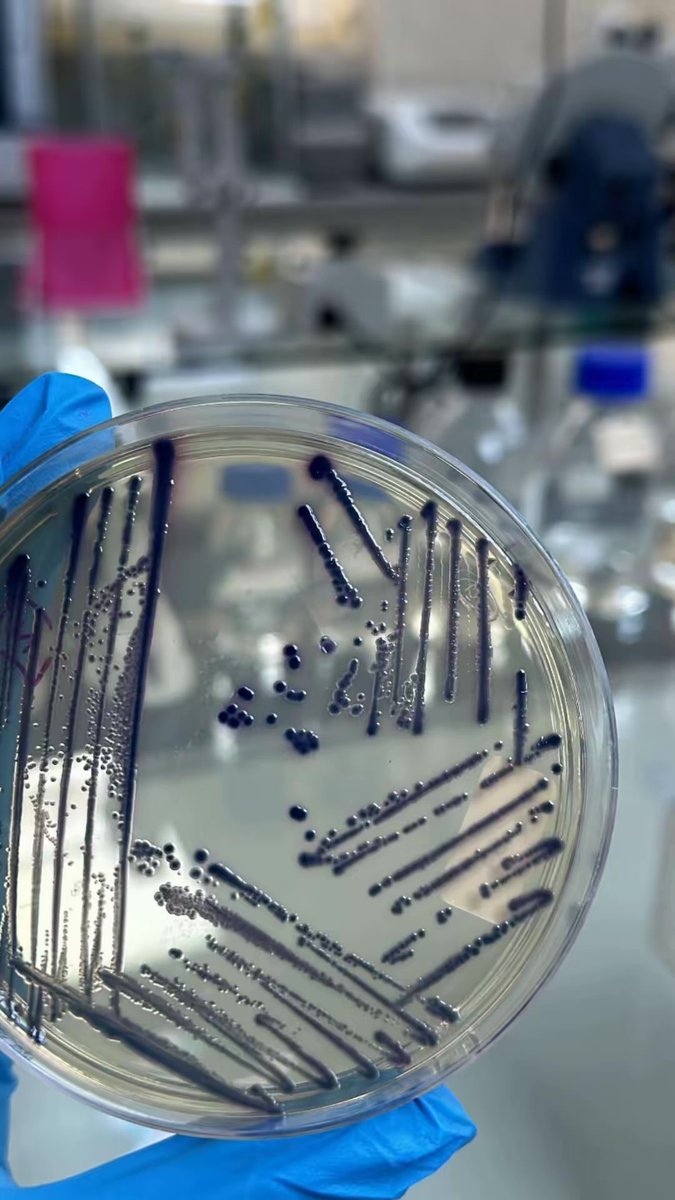 Salha Alshehri💫 tweet media