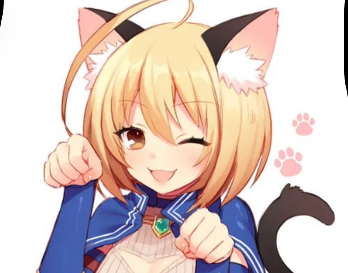 ibidmemes's tweet photo. @elonmusk CATGIRL @elonmusk  you like her right? https://t.co/8rBwIzjvvV