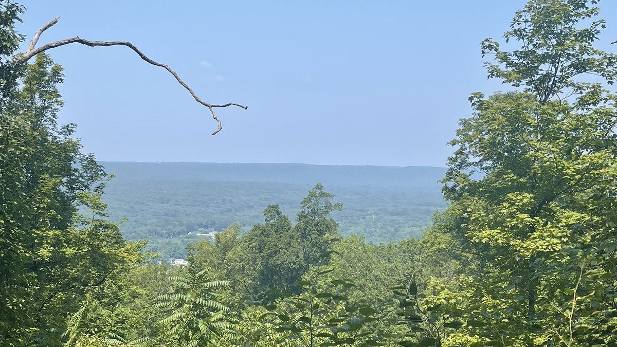 Connecticut Yankee Joe tweet media