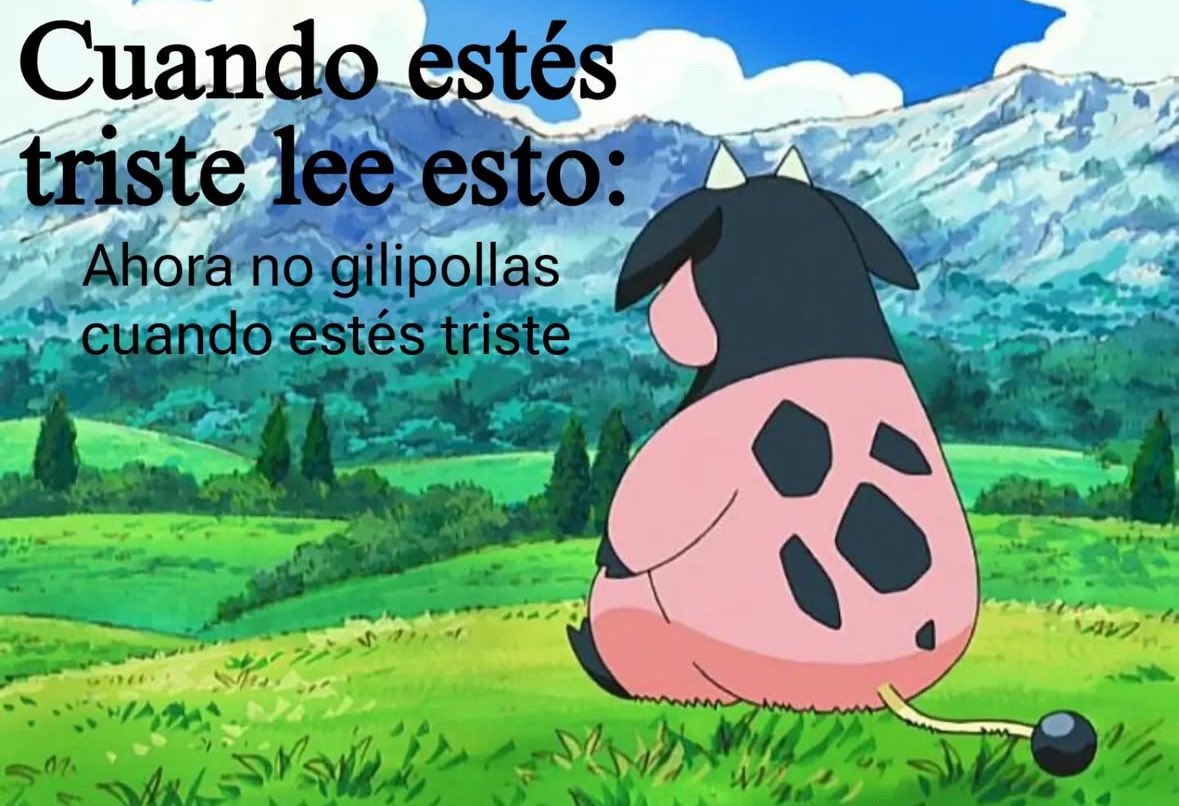 Memes Pokémon (@pokecitas) on Twitter photo 