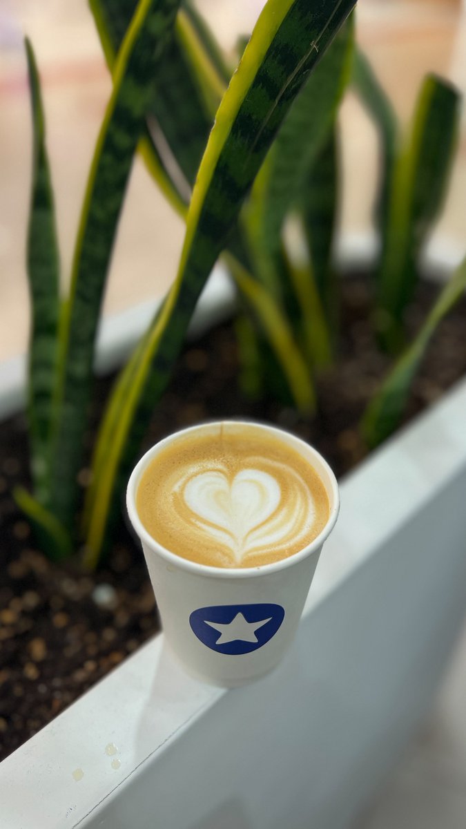 شروق المرحبي tweet media