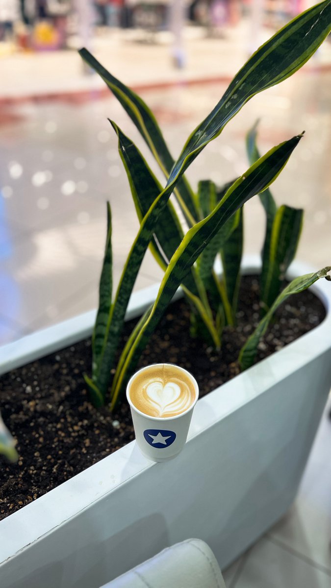 شروق المرحبي tweet media