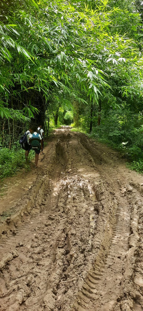 truthseeker0726's tweet image. @DBalasore @CMO_Odisha @JaleswarBdo @RDOdisha @DoWRRDGR_MoJS ଜଳେଶ୍ୱର ବ୍ଲକ ର ବର୍ତ୍ତନା ସ ମିଲ ଛକ-ନହାଳିଆ-ବର୍ତ୍ତନା ଉ.ପ୍ରା. ବିଦ୍ୟାଳୟ ରାସ୍ତା, ଦୀର୍ଘ ବର୍ଷ ଧରି ଦୟନୀୟ ଅବସ୍ଥାରେ | ଯୋଗାଯୋଗ ଦୂରର କଥା , ରୋଗୀ ଓ ଗର୍ଭବତୀ ଙ୍କୁ ଚିକିତ୍ସା ଆଉ ପିଲାଙ୍କୁ ଶିକ୍ଷା ଭଳି ମୌଳିକ ସୁବିଧା ବି ଦୁଃସପନ  #Ruralodisha