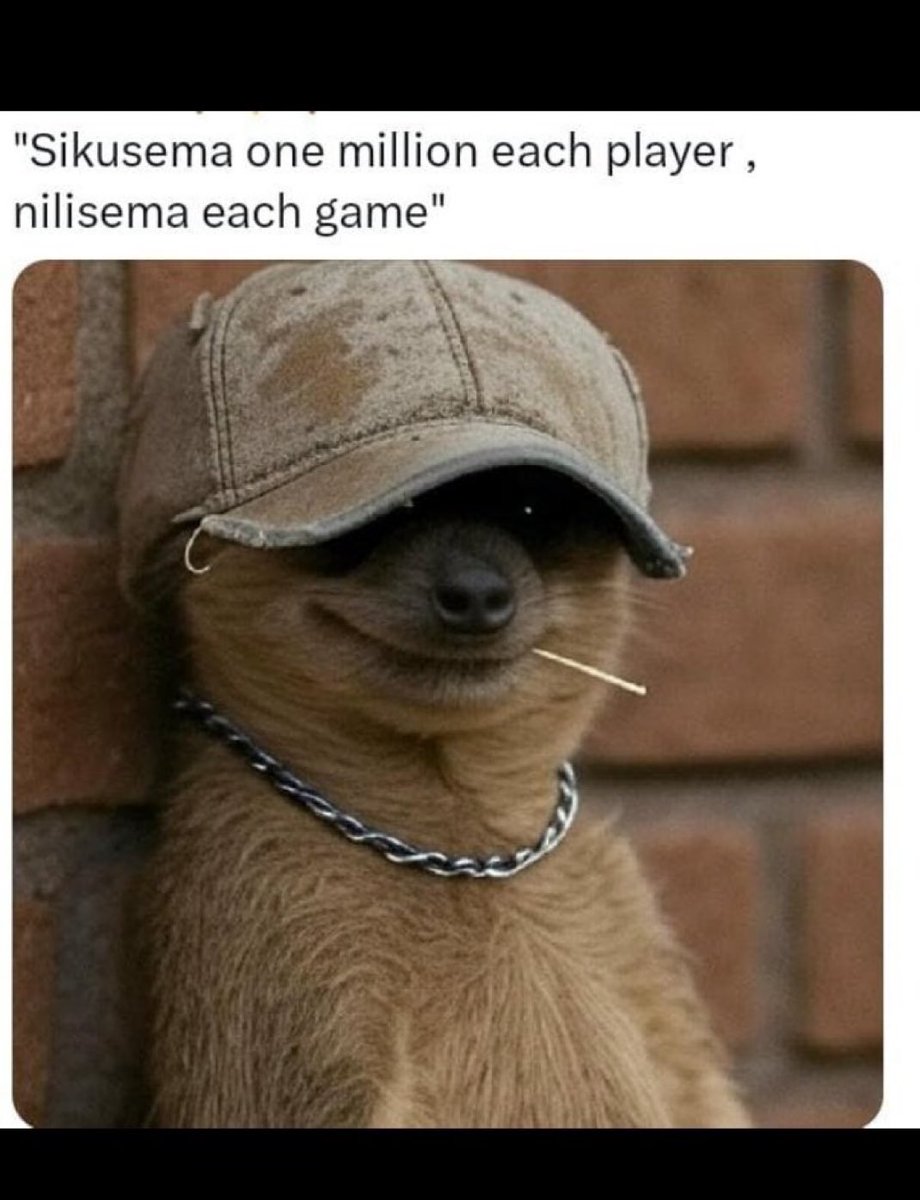 😂😂😂