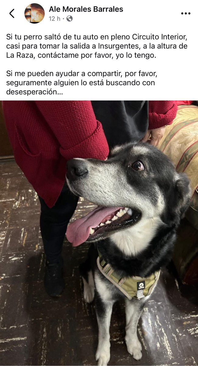 Jaqueline (@jackskravitz) on Twitter photo <a href="/MascotasSismo/">Mascotas Sismo</a> <a href="/FundacionToby/">Fundación Toby</a> <a href="/RefugiOceaniCAN/">Oceanican</a>
Por favor compartir salto del auto y lo tienen resguardado <a href="/MascotasSismo/">Mascotas Sismo</a> <a href="/FundacionToby/">Fundación Toby</a> <a href="/RefugiOceaniCAN/">Oceanican</a>
Por favor compartir salto del auto y lo tienen resguardado