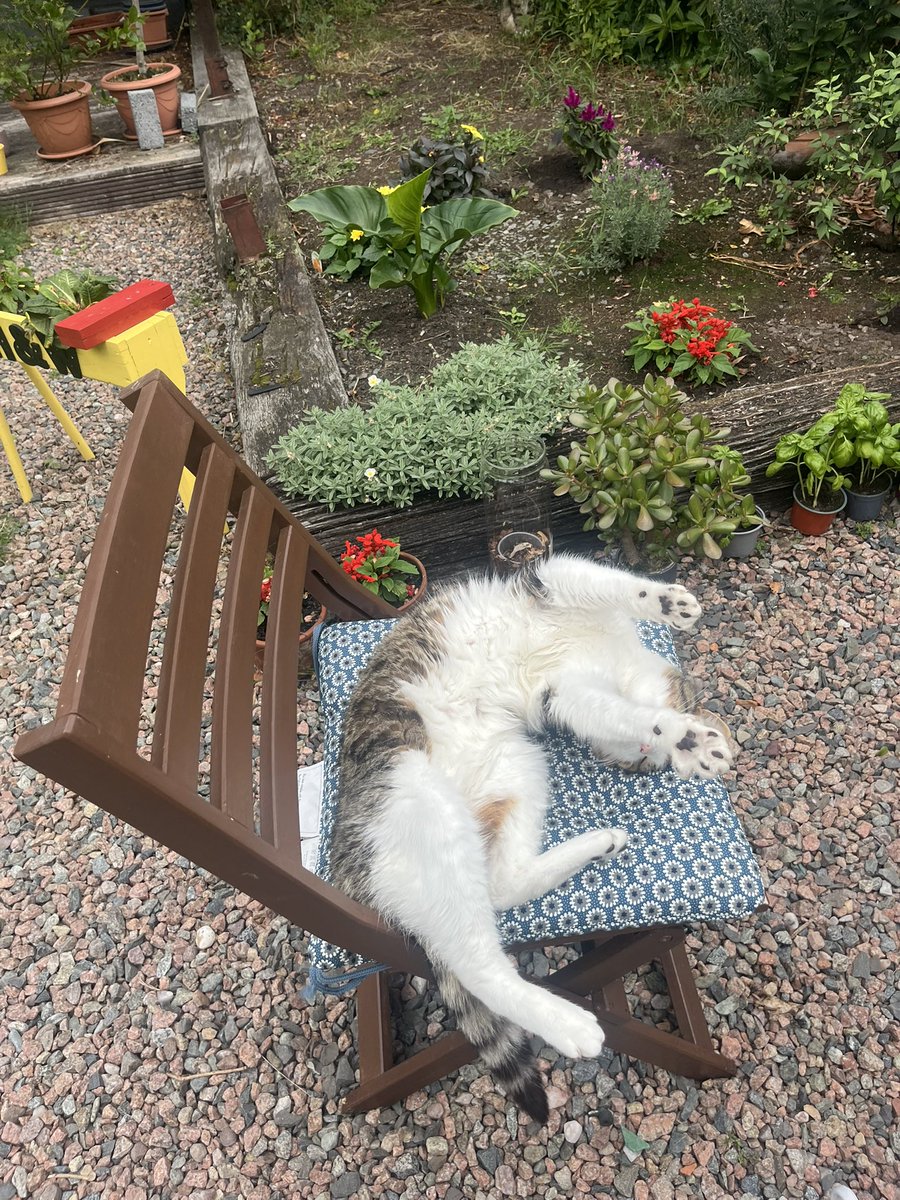 Clodagh Rice tweet media