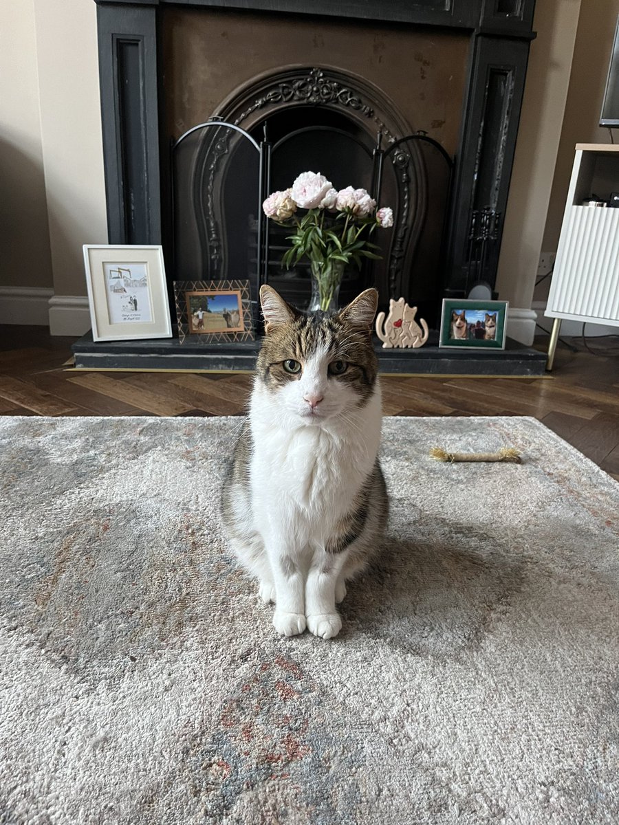 Clodagh Rice tweet media