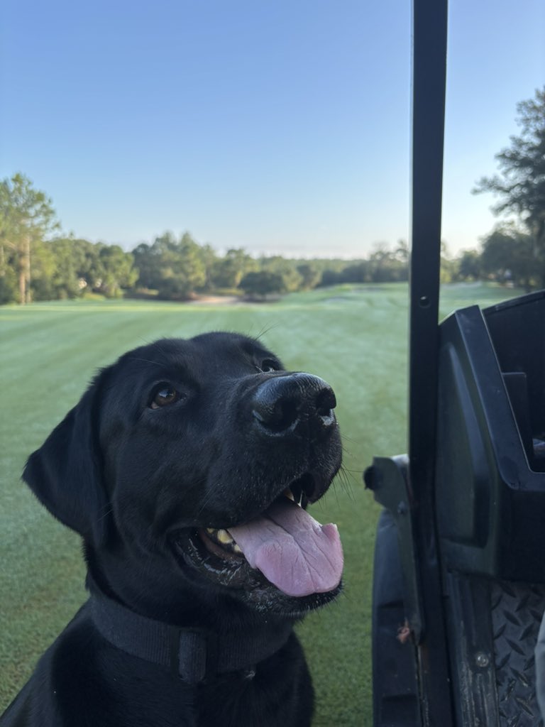 Jeremiah Mincey tweet media