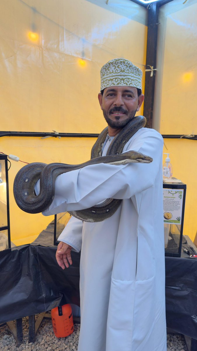 عالم الزواحف في حديقة النخلة يدهش زوار ملتقى أجواء الأشخرة بتجربة غير مسبوقة تعزز الوعي البيئي والسياحي.

wejhatt.com/?p=107002
<a href="/ss_governor_/">محافظة جنوب الشرقية - سلطنة عُمان</a> 
<a href="/Jalaan_gate/">بوابة جعلان</a> 
<a href="/news_jalan/">أخـبار جــعلان</a> 
<a href="/alheddah1972/">فريق الحدة الإعلامي</a> 
<a href="/Ashkharah/">Ashkharah | الأشخرة</a>