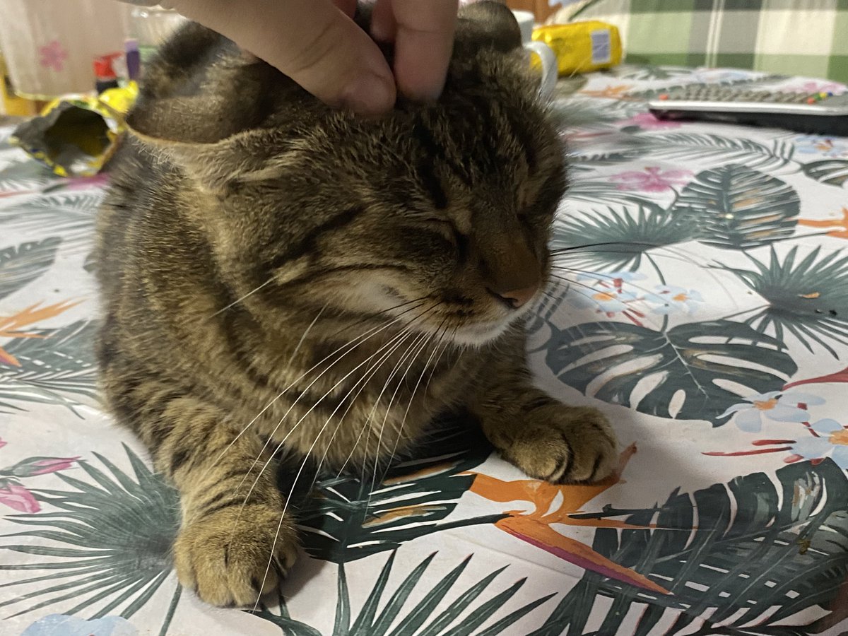 Scratch scratch head scratch mmmm