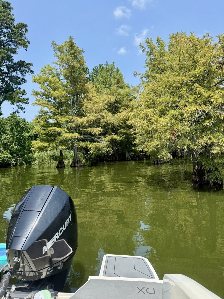 BowTiedAMZN tweet media