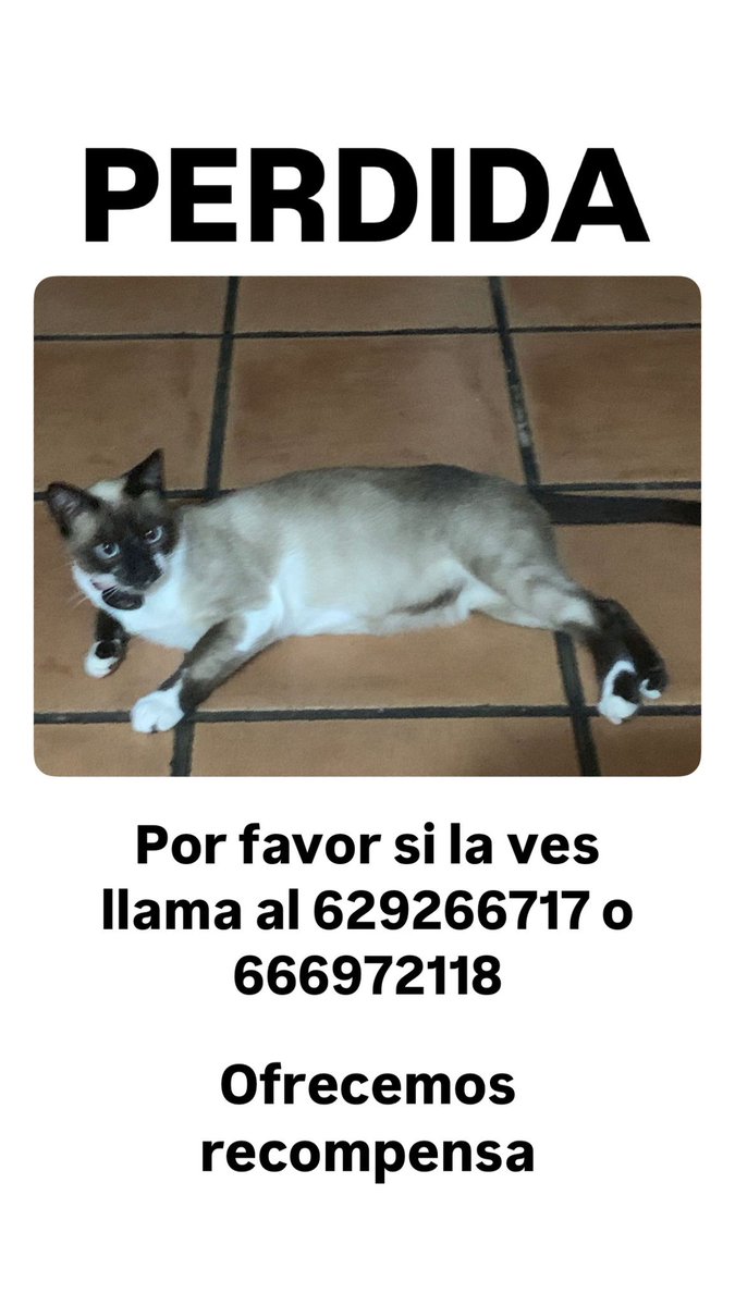 Perdida ayer en Sanlúcar de Barrameda. Twitter haz tú magia
