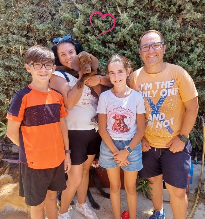 XENA ADOPTADA🏡❤️

Parece un sueño pero es realidad, la familia de Xena se ha trasladado desde Murcia hasta nuestra ciudad para recoger a su pequeña, la distancia  ha sido enorme como.el cariño que sienten por su perrita.

Bienvenidos !!!

Tf contacto ☎️ 693219050  ( wuasap)