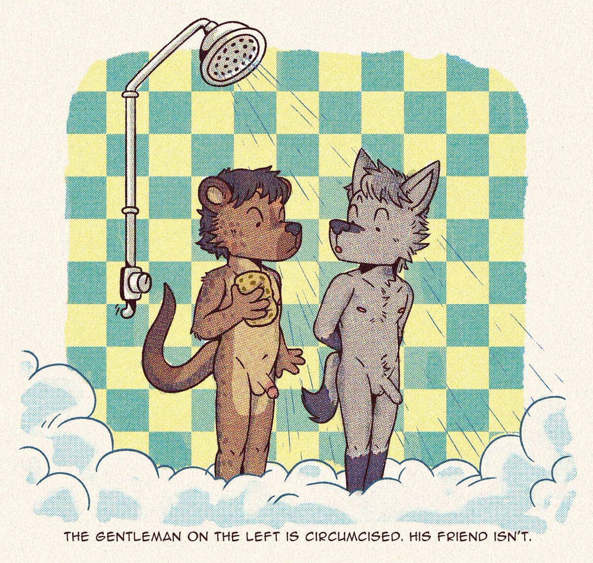 (Comm)

It can be fun to learn about all the ways your friends are different from you - especially the ones you learn in the shower!

#furryNSFW