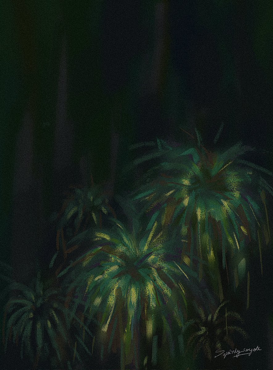 Low lamplight 🌿