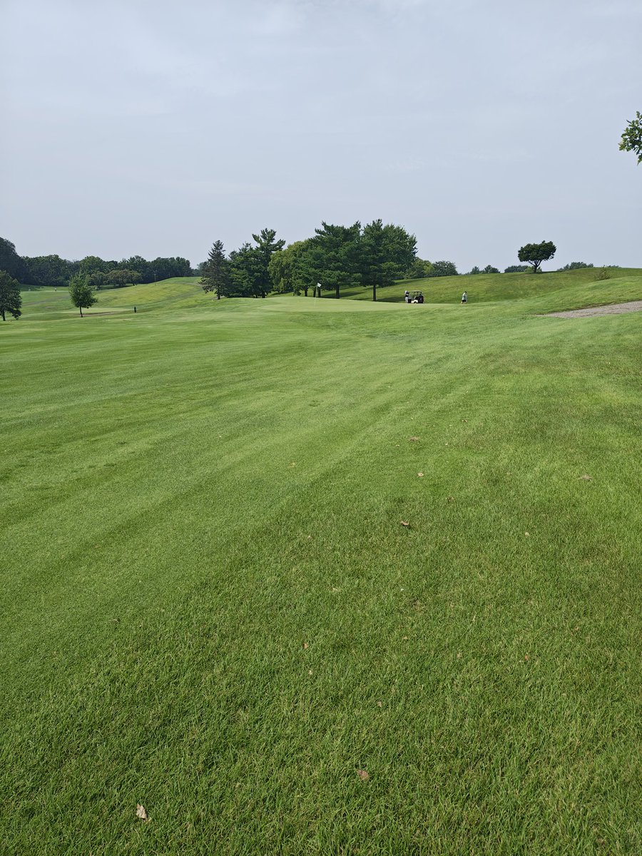 I have major issues in my golf game &amp; can get discouraged but dammit I do love it. Especially when you have a new personal best drive on hole 17 at your favorite course! 
<a href="/Shankitgolf/">Shankitgolf</a> #ComoParkGolfCourse #SaintPaul #TopShelf #TopShelfLife