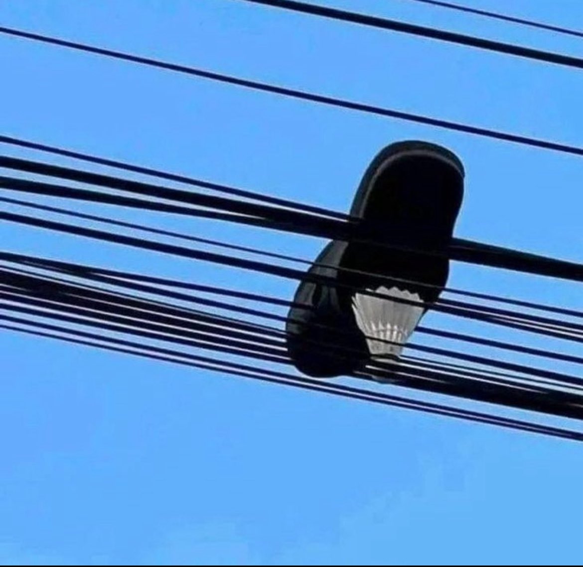 Tadbeer se bigri hui taqdeer banale 🤣😉